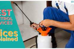 Latest Pest Control Delhi Price List [Updated for 2018]