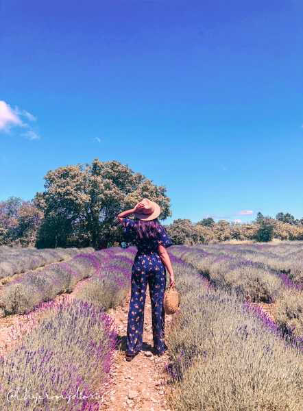 Lavender Fields PEC Ft. Versace EROS Flame - The Jeromy Diaries