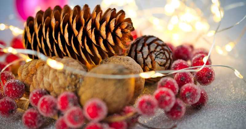 Learn To Behave: The Wisest Lesson I Learned In 2018