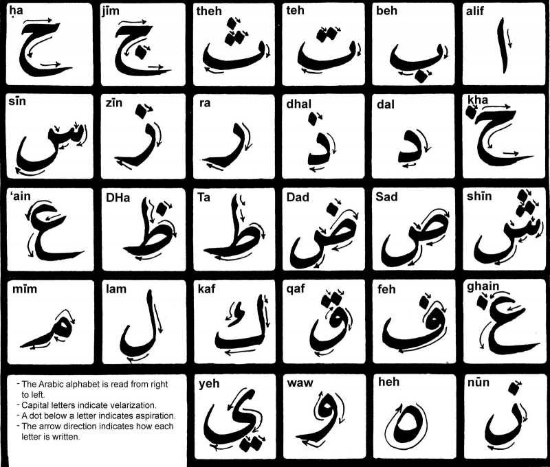 Learning Arabic