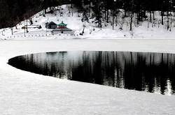 Learning from a Snow Leopard - Part 1