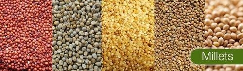 Learning From The Past: A New Protocol For Agricultural Education And Research In India - Mekanagadde Homestay | Chikmagalur Homestay | Sakleshpur | Mudigere