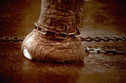 Learning the Mediocricy.