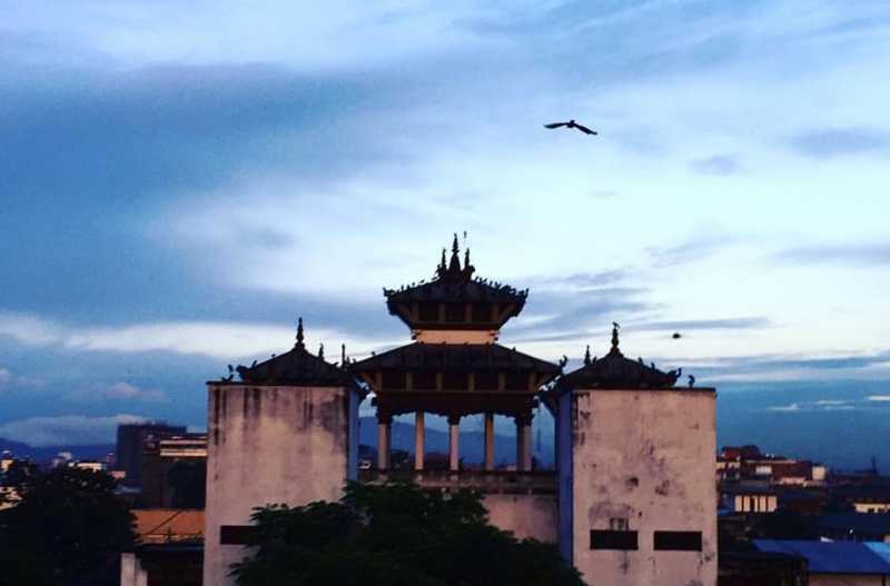 Leaving The Nest And Flying Solo