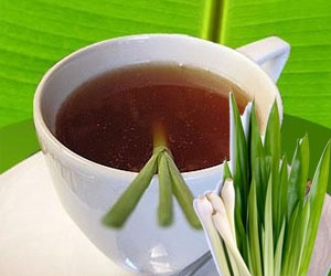 Lemongrass Tea For Weight Loss - How To Make This Home Remedy