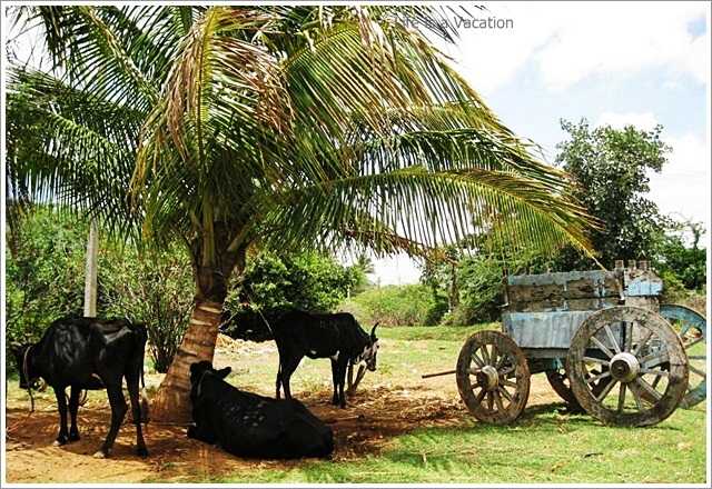 Lepakshi- Where Stones Speak Volumes