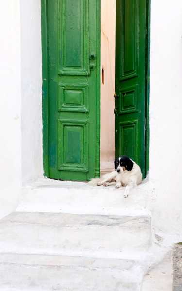 Lessons From Greece.