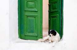 Lessons from Greece.