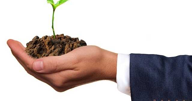 Lessons From Gardening