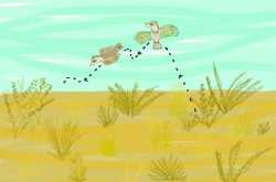 Lessons in Wooing from the Natural World