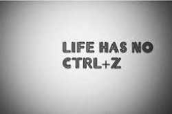 Let me tell you something you already know...