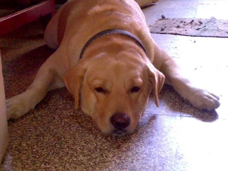 Letter Worth Treasuring!