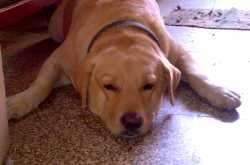 Letter worth treasuring!