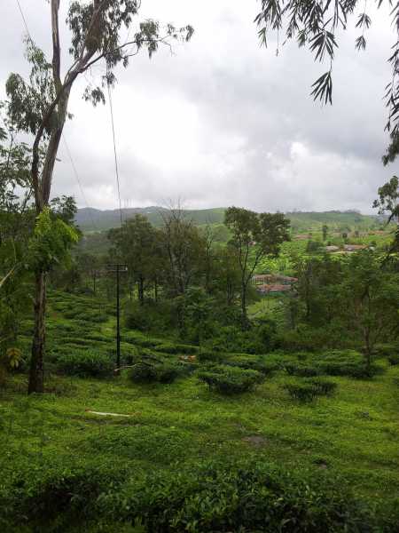 Letters From A Self-Made Merchant To His Son