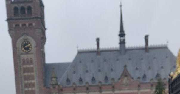 Letters Of A French Soldier By Reymond Molle - Book Review