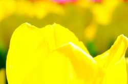 Level up Your Innovation with Anna Jois