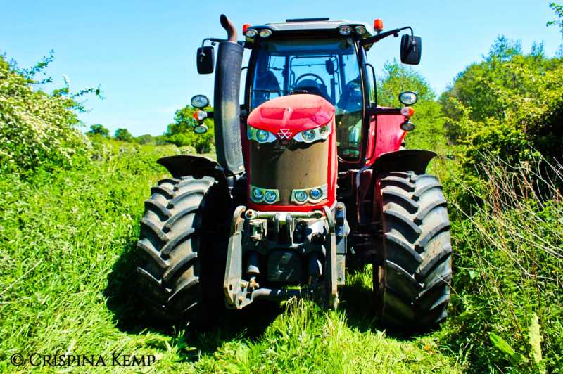 Leveling For A Laboratory