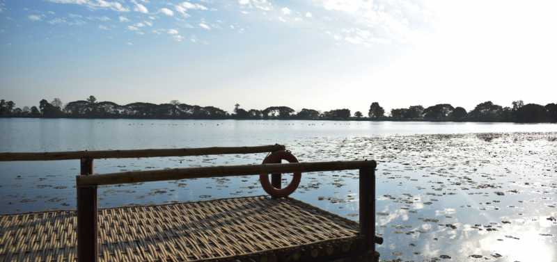 Life, Lemons And Lemonade!