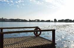 Life, Lemons and Lemonade!