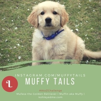 Life Lessons - A Message To Muffy From Pablo And Lucky {Guest Post} | Kohl Eyed Me