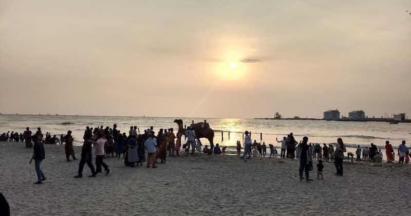 Life Stories - A Camel Which Never Existed