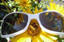 Life, as I see it!!!