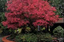 Life has taught me well