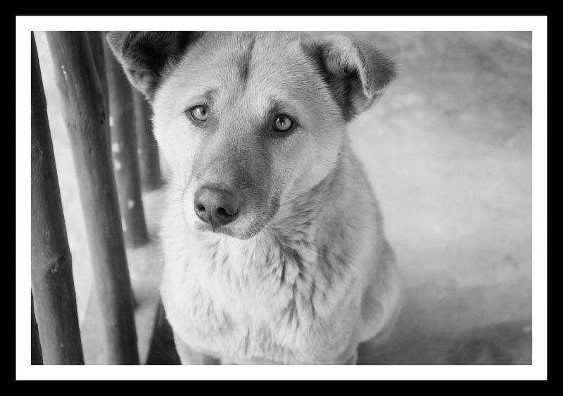 Life In Greyscale Part - II