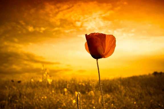 Life Is How You See It- Is This Really True? | PenCraft Blog