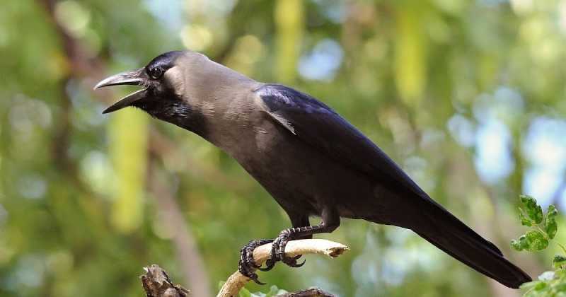 Life Is What You Make