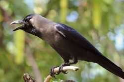 Life is what you make