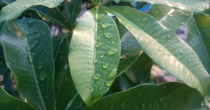 Life On The Slow Track ... Season 2