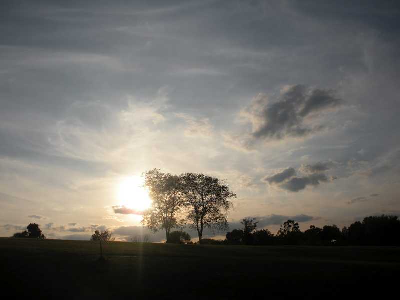 Life With An Angel - IV