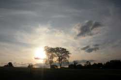 Life with an Angel - IV