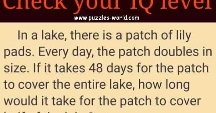 Lily Pads In A Lake Puzzle