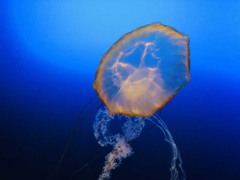 Lincoln, Omaha - Nebraska