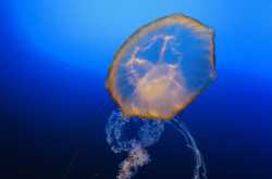 Lincoln, Omaha - Nebraska