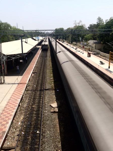 Lines That Define Life - All Time Favourite - Peppered With Stories