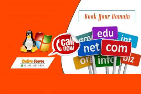 Linux Web Hosting Plans Basic Information Review | Business Meg