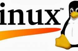 Linux and its importance