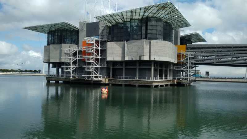 Lisbon Diaries Chapter 2: Lisbon Ocenarium