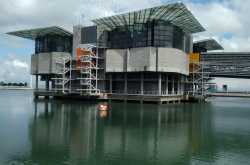 Lisbon Diaries Chapter 2: Lisbon Ocenarium