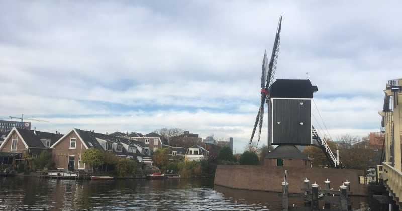 Little Gems Of The Netherlands