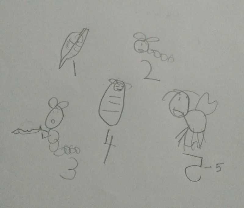 Little Picasso Part Ll