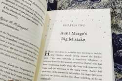 Little thing called HAPPINESS #1