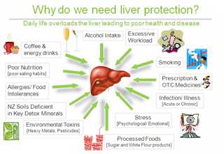 Liver Care Tips - Liver Diseases And Their Symptoms