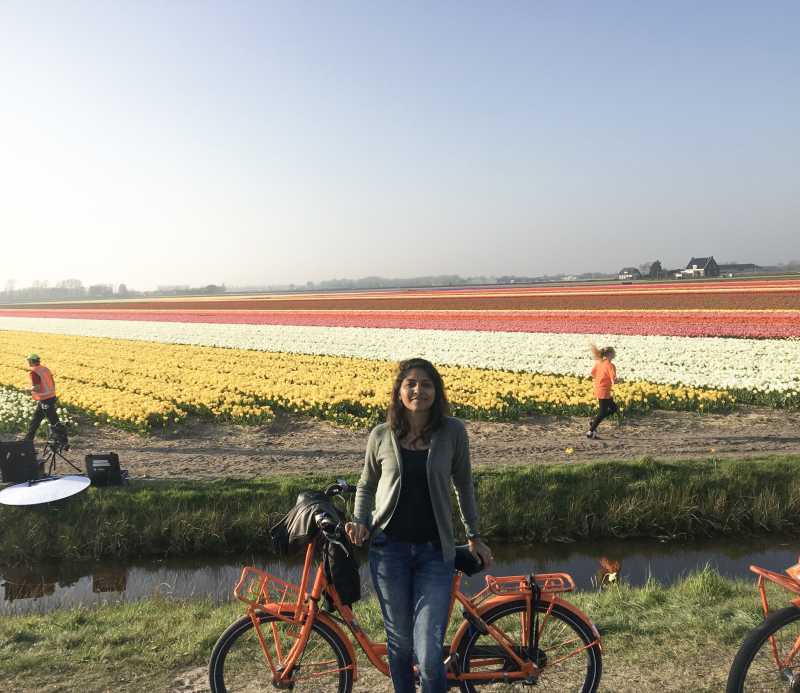 Living The Bollywood Dream - Tulip Fields Of Netherlands