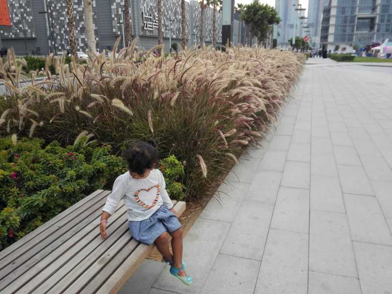 Local Attraction Review: Green Planet