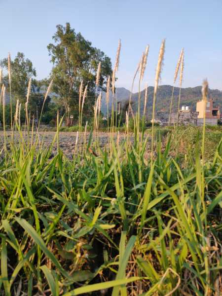 Lockdown In Pictures