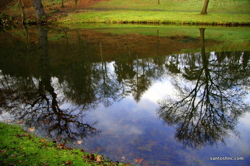 London Diaries – Reflections